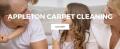 Appleton Carpet Cleaning