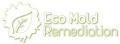 Eco Mold Remediation