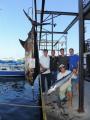 Camelot Kona Fishing Charters