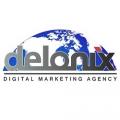 Delonix Digital Marketing Agency