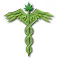 Miami Medical Marijuana Doctors