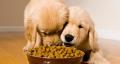 Daniels Tasty Petfoods