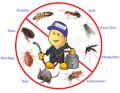 Dante Tapp Pest Control Service