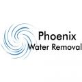 Phoenix Water Removal