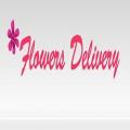 Same Day Flower Delivery Houston