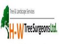 H-W Tree Surgeons Ltd