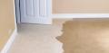 Walkerton Carpet Cleaning
