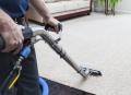 Shanker Carpet Cleaning