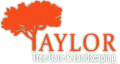 Taylor Tree Care & Landscaping