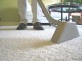Standard Carpet Cleaning