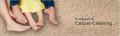 Perez Carpet Cleaning