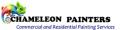 Chameleon Painters