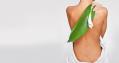 Stradbrook Chiropractic Centre