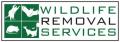 Wildlife Removal Services