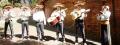 Mariachis Bogota Arborada Mexicana