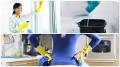 Cleaning Man Pro