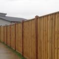 Vision Fencing