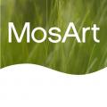 MosArt Architects