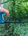 Greencoat Gardeners || 07776 097961