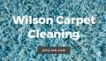 Wilson Carpet Cleaning