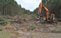 Tomlinson Land Clearing, Site Work and Demolition