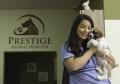 Prestige Animal Hospital - North Fontana