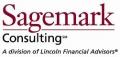Sagemark Consulting, Scott Goldstein