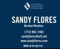 Sandy Flores