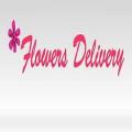 Same Day Flower Delivery Philadelphia