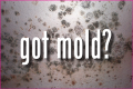 Mold eSolutions