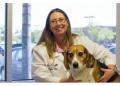 Murrieta Family Pet Hospital