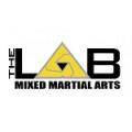 The MMA LAB