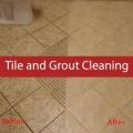 American Carpet Cleaners
