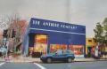 The Antique Company Inc