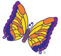 Butterfly Orthodontics
