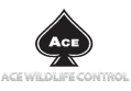 Ace Exterminating Co., Inc. 