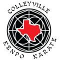 Colleyville Kenpo Karate and COBRA Defense