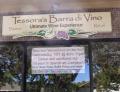 Tessora's Barra di Vino