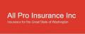 All Pro Insurance Inc