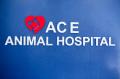 ACE Animal Hospital