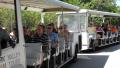 Shark Valley Tram Tours