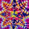 Tie Dye Rosie