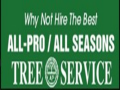 All Pro Able Tree & Timber