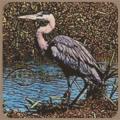 Heron Ridge Associates - Clarkston