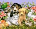 Love Your Pets Animal Care