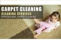 Blue Ribbon Cleaning Inc.