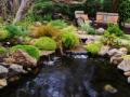 Sierra Pacific Design Ponds and Waterfalls