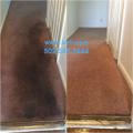 Louisville Carpet Cleaning & Flood Restoration