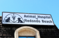 Animal Hospital of Redondo Beach
