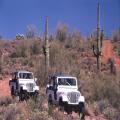 Apache Trail Tours &amp; Superstition Mountain Adventures